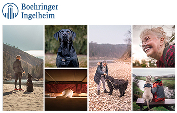 newmangrove history 2019