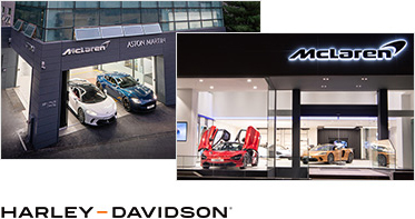 newmangrove history 2020