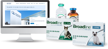 newmangrove history 2021