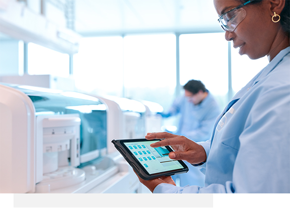 브랜드사이트 개발 및 관리 업무